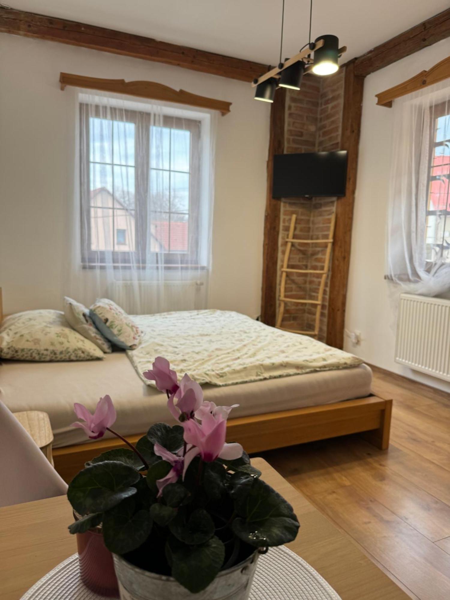 Accommodatie bij particulieren Hradecky Dvur Plzeň
